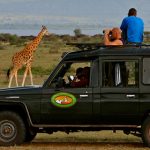 Uganda Game Drive