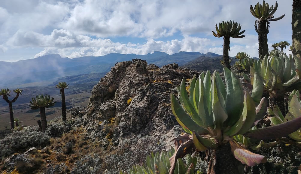 mountain elgon NP