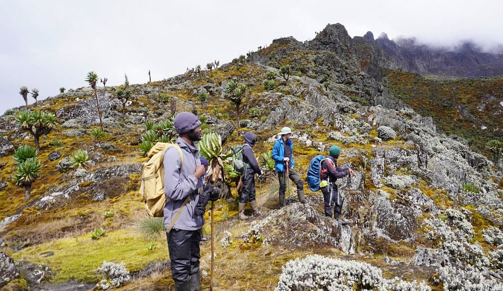 rwenzori trekking