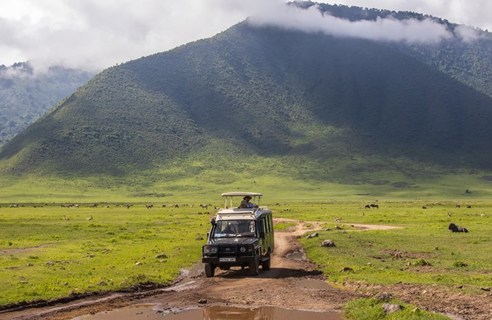 Self Driving Uganda